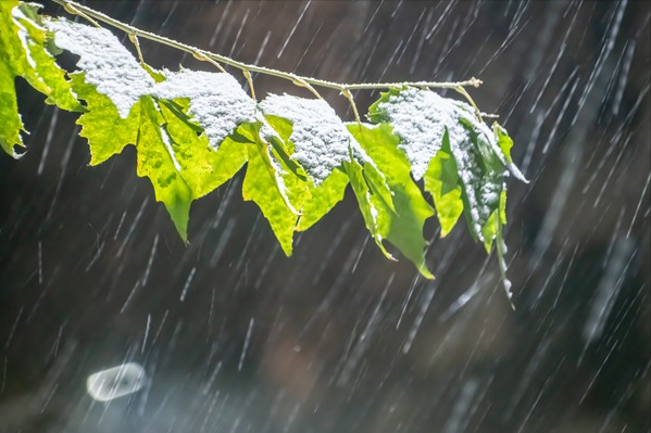 广州梅雨季图片