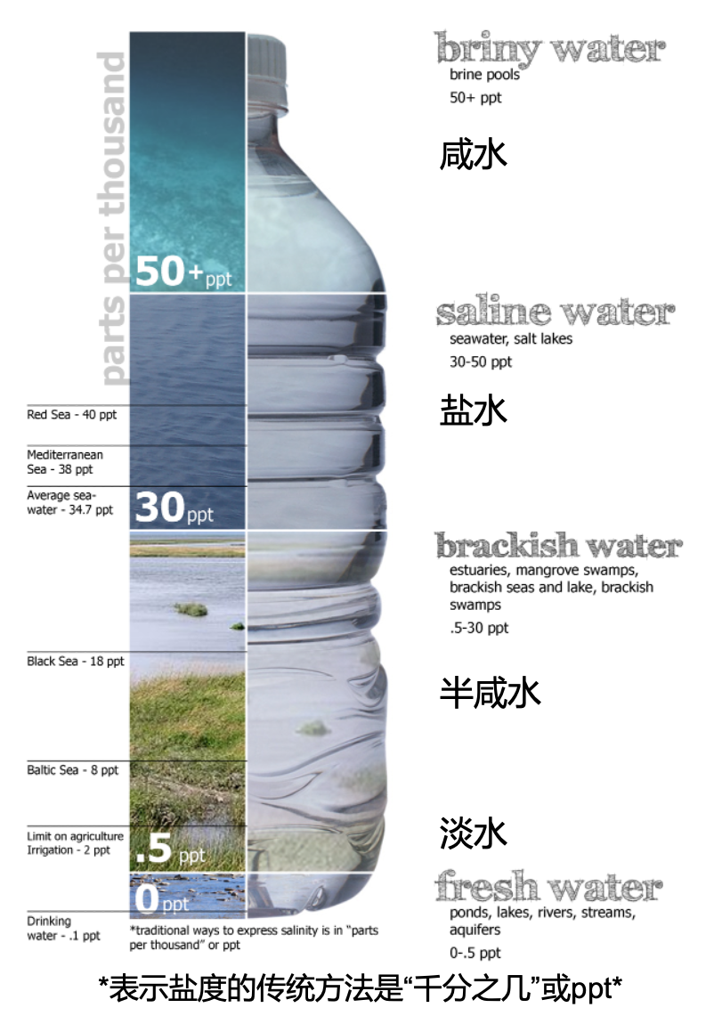 “咸淡争霸赛”：大西洋VS太平洋，盐度差距悄然拉大！_腾讯新闻