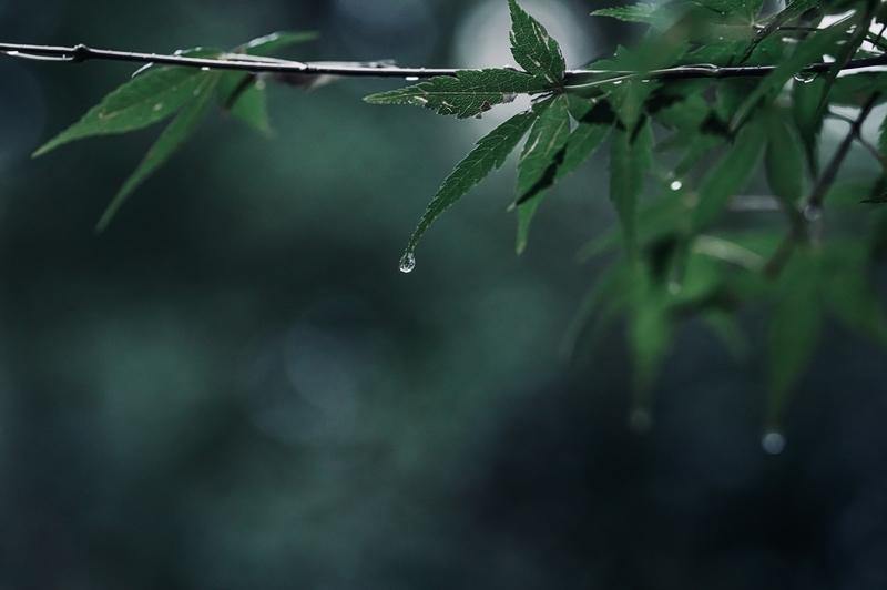 梅雨季尝试各种祛湿大法？专家提醒：祛湿别陷入误区