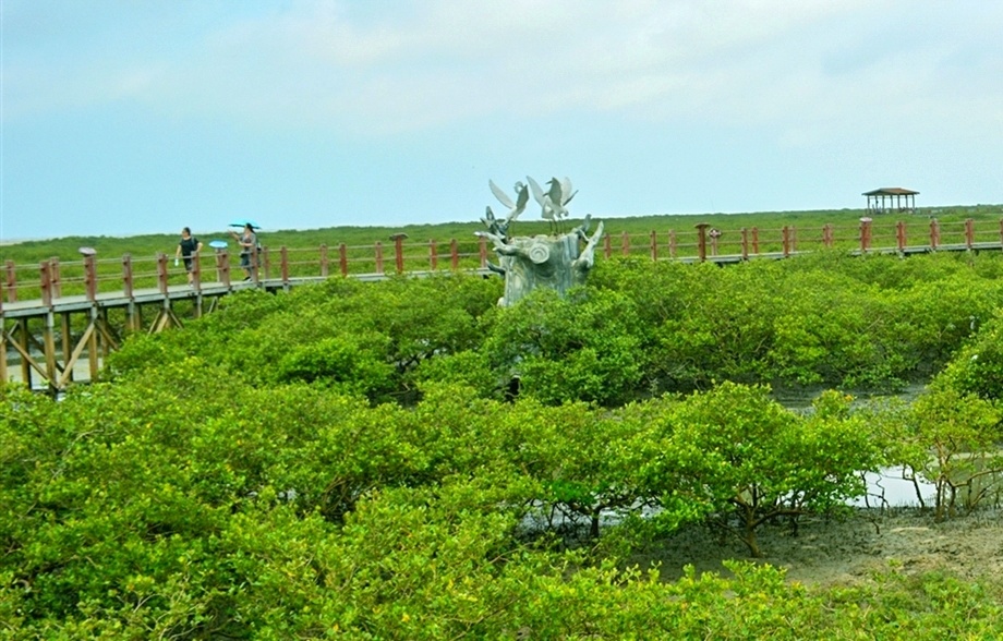 北海金海湾红树林景区图片