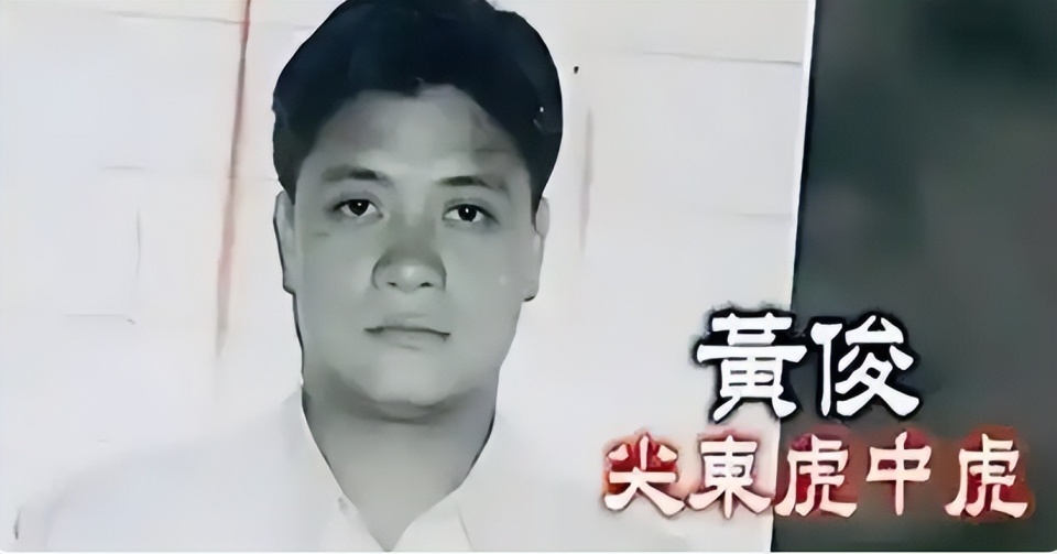 向太首次公布梅艳芳惹怒黑帮细节，梅艳芳吓哭求救，陈岚被枪指头（组图） - 4