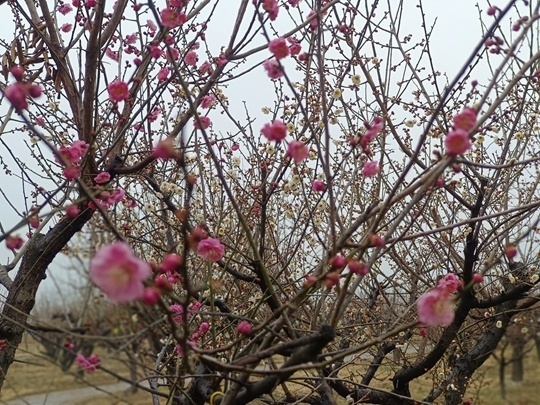 首页全新改版升级啦