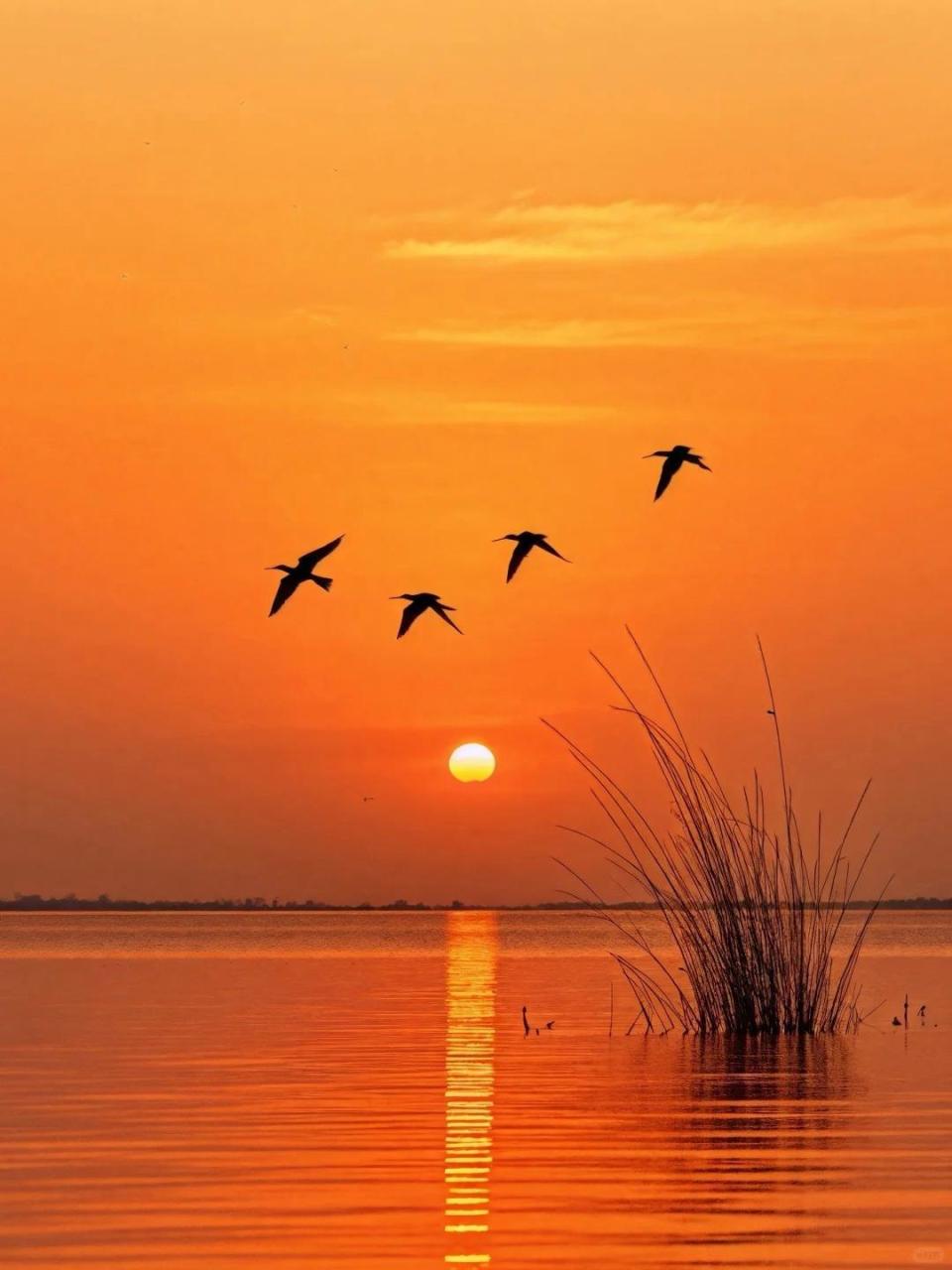 大漠孤烟直,长河落日圆.24句以小见大诗词:尺幅千里,意境壮阔