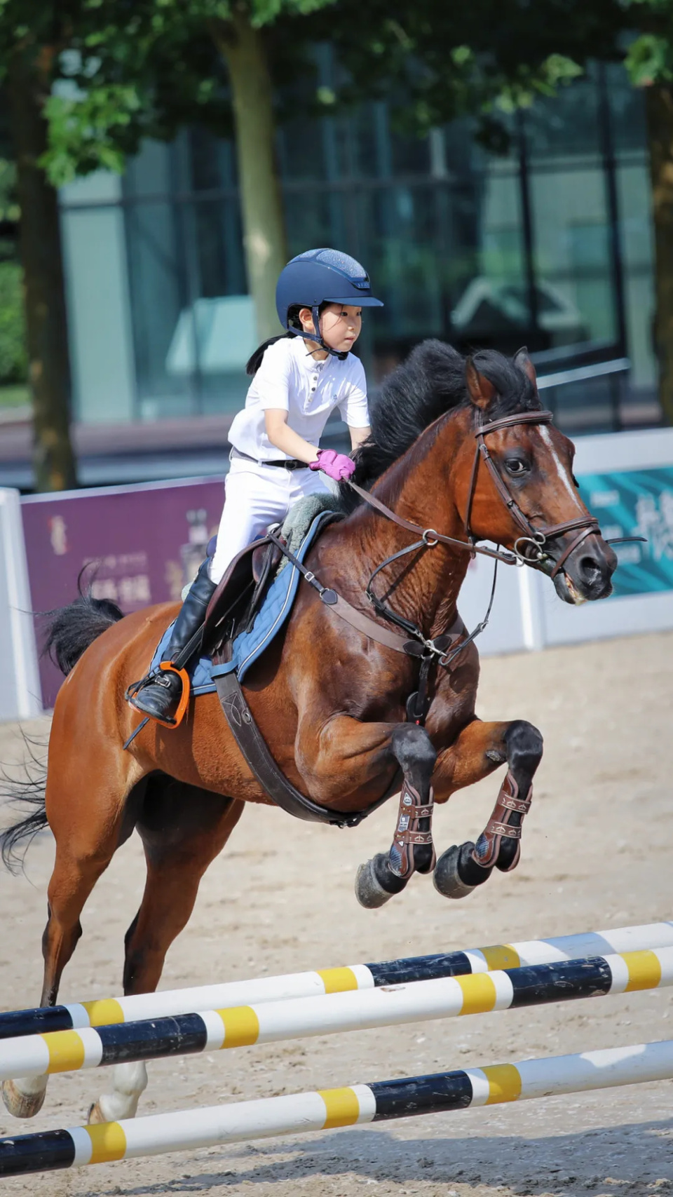 2024年"体彩杯"山东省马术冠军赛圆满落幕