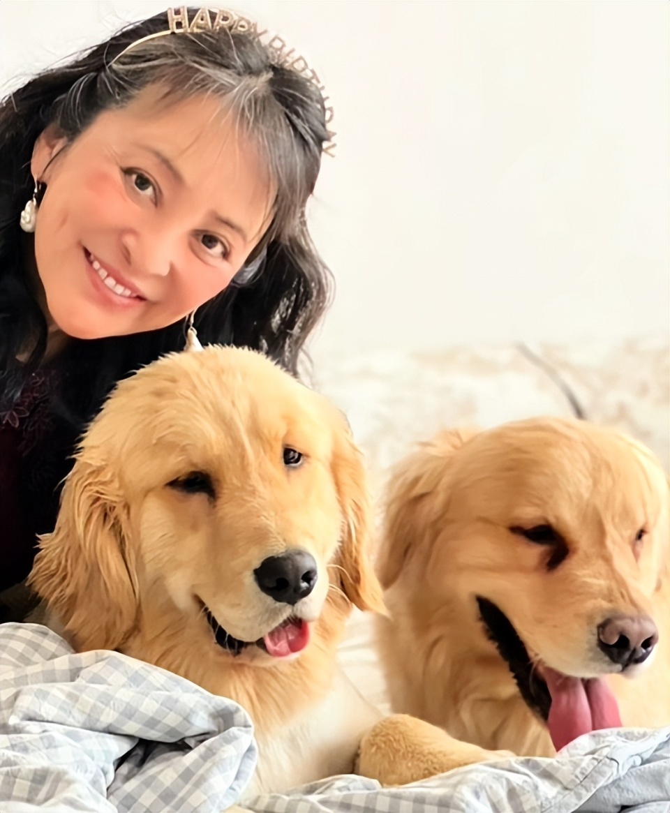 周海媚去世1周年，李勤勤收养她遗留的两只爱犬，并带去墓地拜祭_腾讯新闻