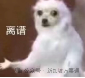 新加坡，東南亞人自己的佛羅里達州！地鐵晾衣服、內褲佔座、大街上裸奔... - 