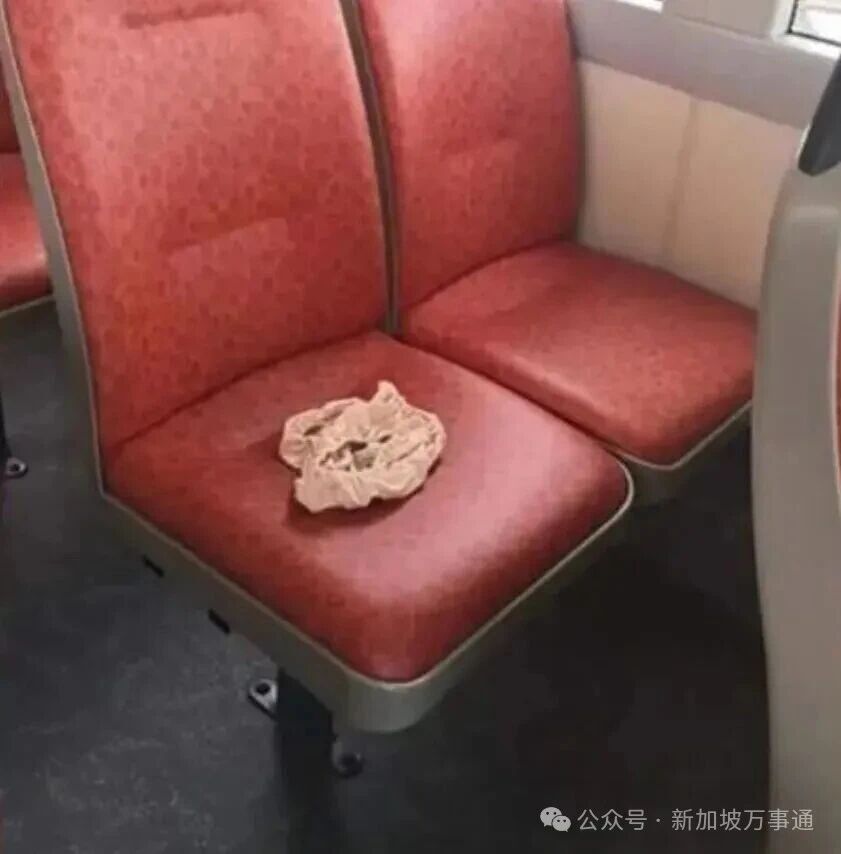 新加坡，東南亞人自己的佛羅里達州！地鐵晾衣服、內褲佔座、大街上裸奔... - 