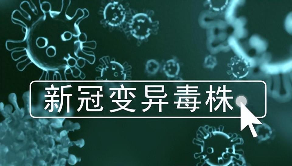 近期感染新冠病毒又增多了?为何会卷土重来?如何预防?