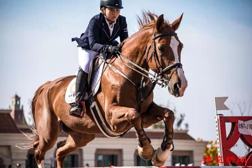 淄博马术:冠军荣耀,驰骋远航