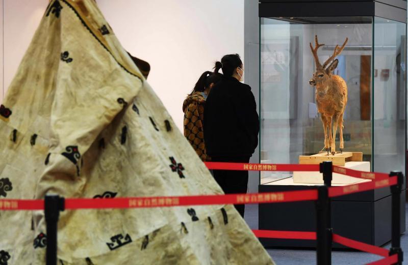 “黑龙江鱼皮兽皮树皮文化展”在国家自然博物馆亮相_腾讯新闻