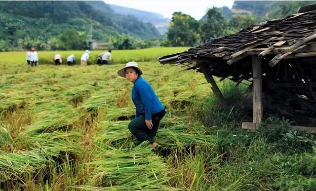 缅甸果敢北部最新战况_缅甸北部湾_缅甸北部果敢老街疫情