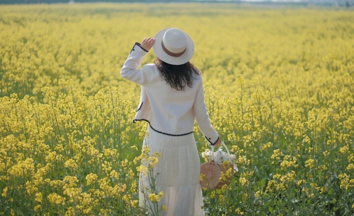 已灿然绽放,满目金黄,不少市民已经趁着周末晴好天气提前来踏春赏花了