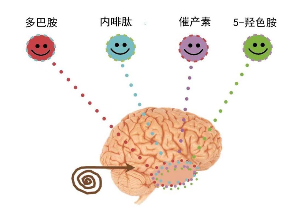 其实这得先从多巴胺和内啡肽说起.