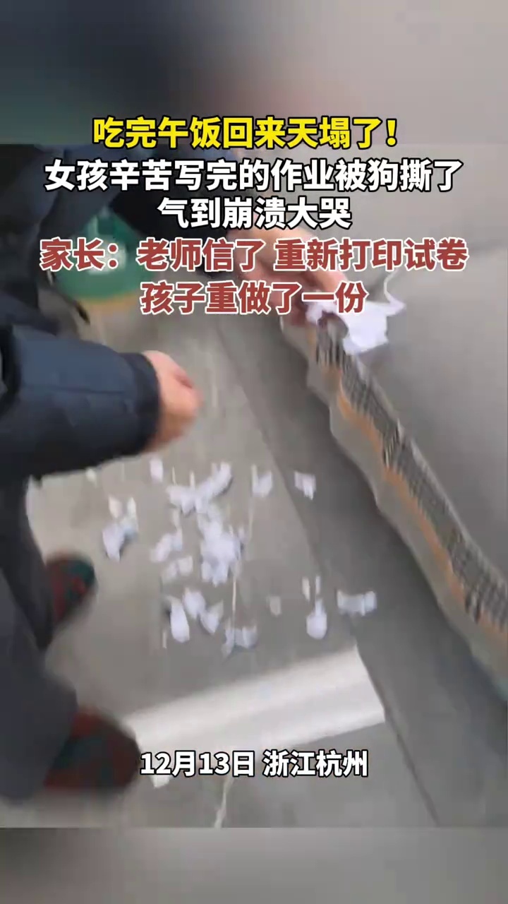 杭州小女孩刚写完作业被狗撕，家长称老师信了孩子重写_腾讯新闻