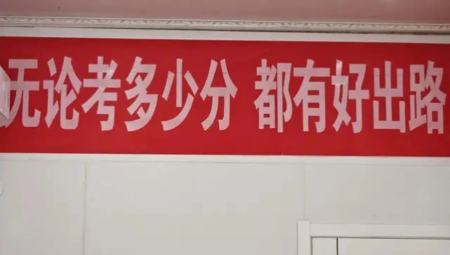 批量“预制”孩子的父母，撑起这门万亿生意，咨询师月入几十万元