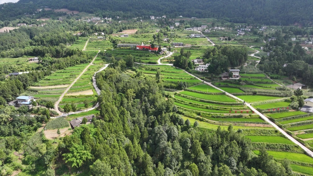 旺苍县龙凤镇现代粮油园区种植示范基地.