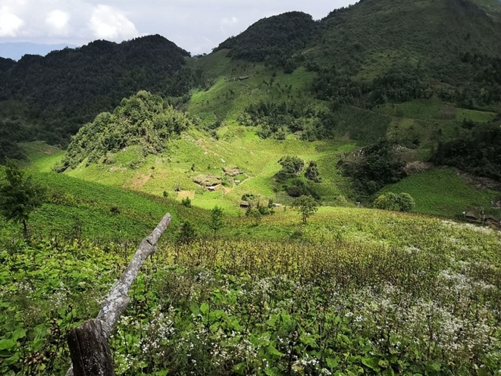 城口县鸡鸣乡供图 华龙网发在灯梁村,就有村民选择以劳动力置换股份