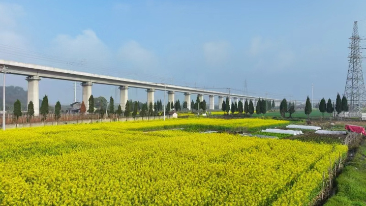 杭温高铁二期开始静态验收主体工程建设基本完成