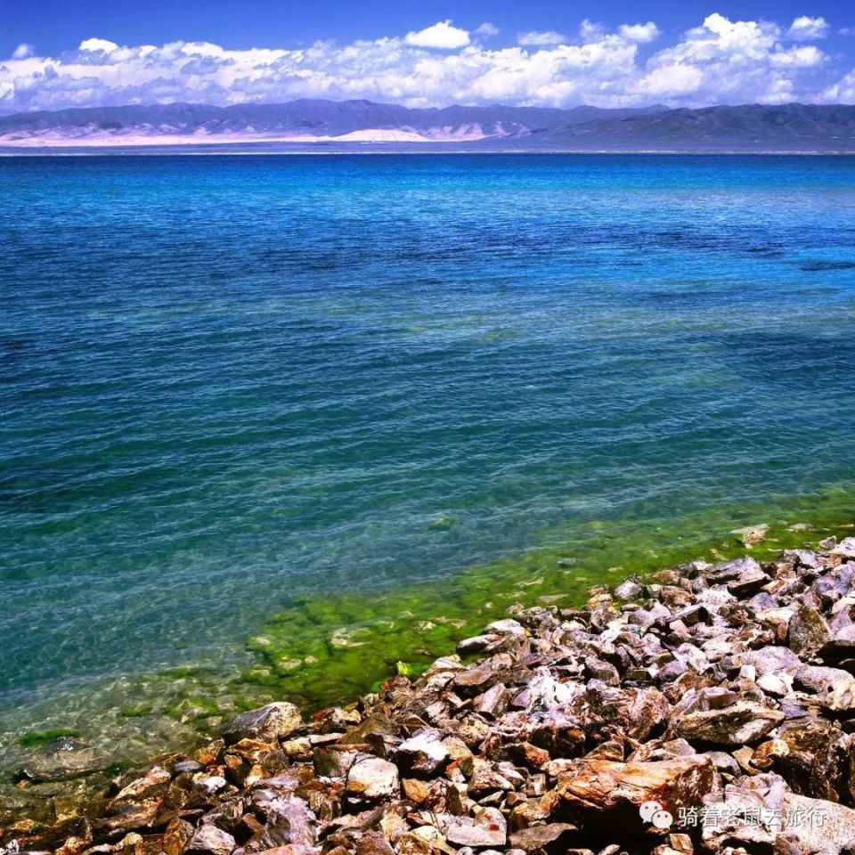 青海湖:中国最大内陆湖泊的美丽奇观与传奇故事_腾讯新闻