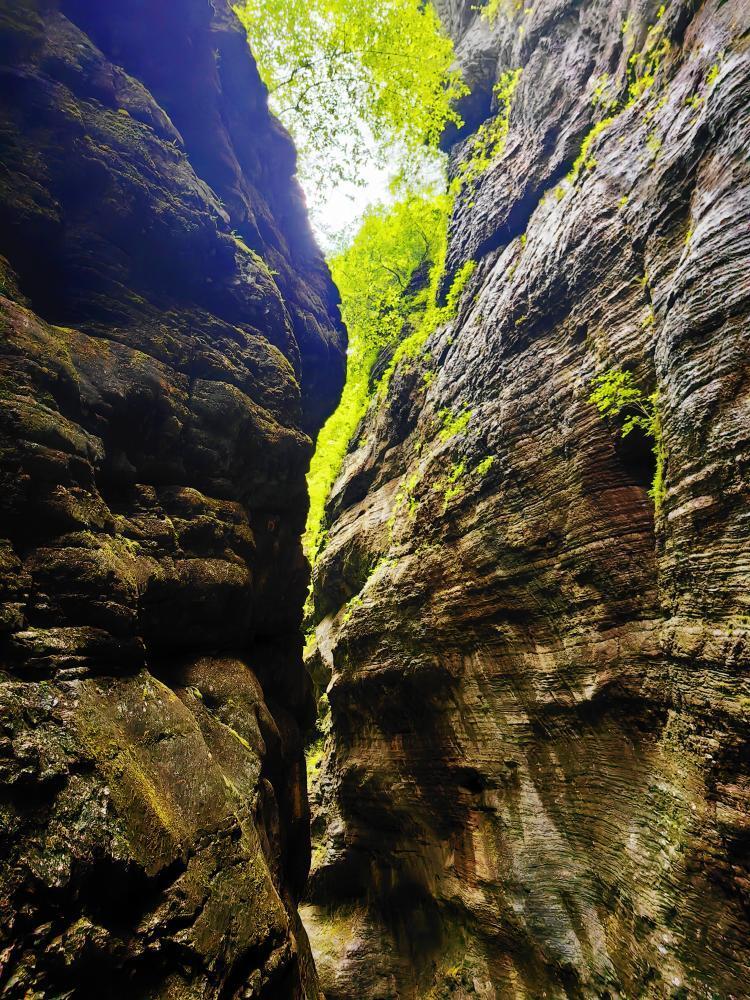 官鹅沟(甘南游之四)