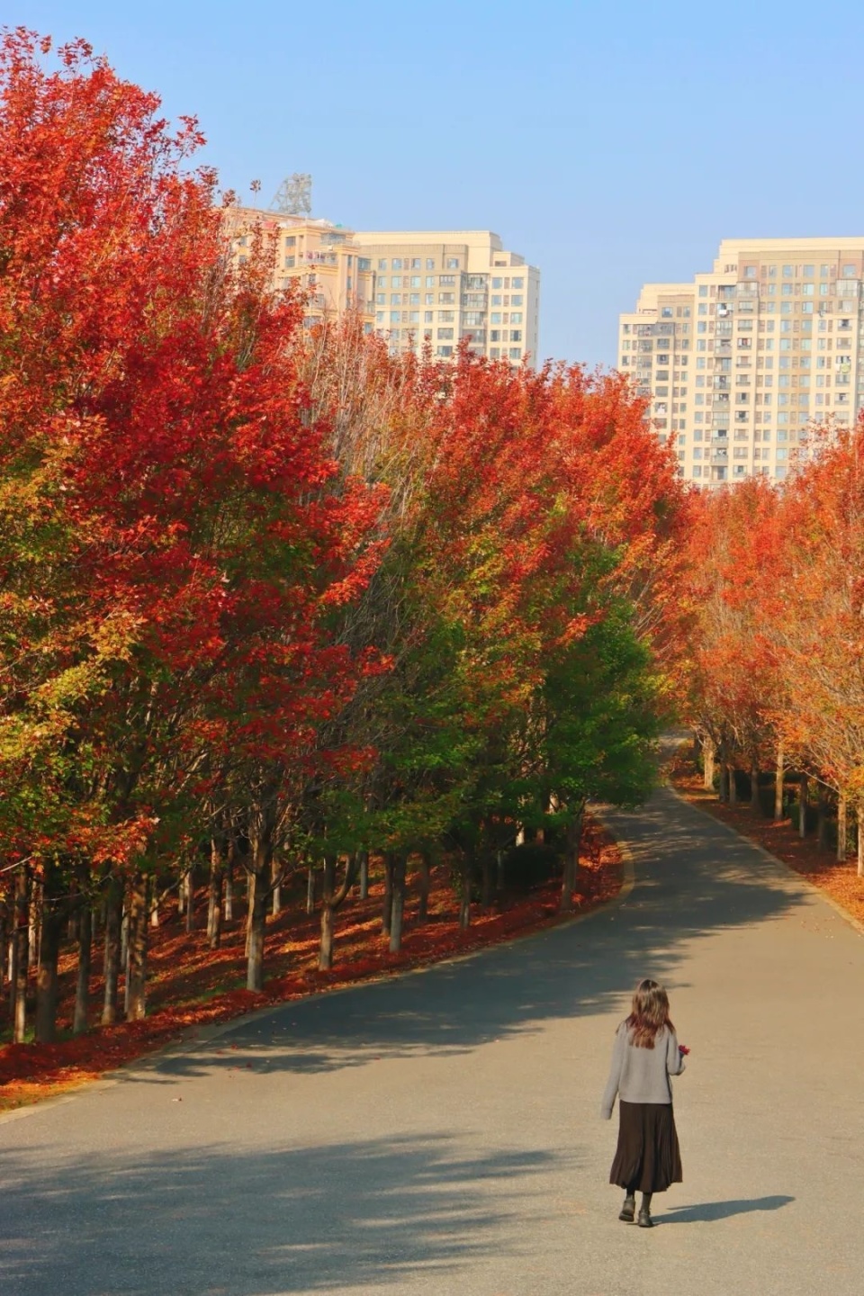 晴暖天气还会持续多久,冷空气何时抵汉?-腾讯新闻