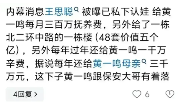 黃一鳴似默認王思聰五個億認娃？給豪門未婚生子，女星們是精明還是傻