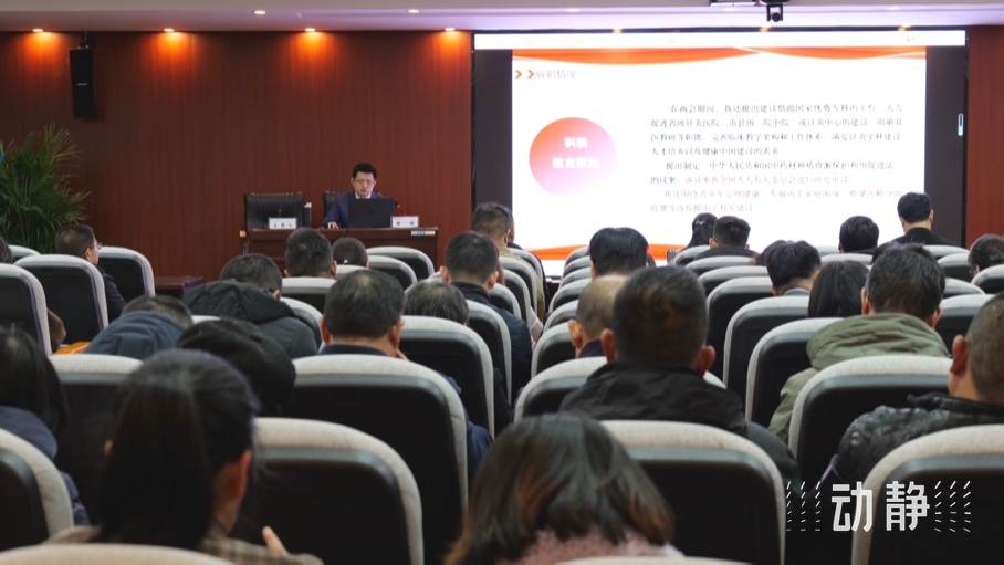 代表归来话落实丨杨硕：培养国际化人才队伍，助力中医药“出海”_腾讯新闻
