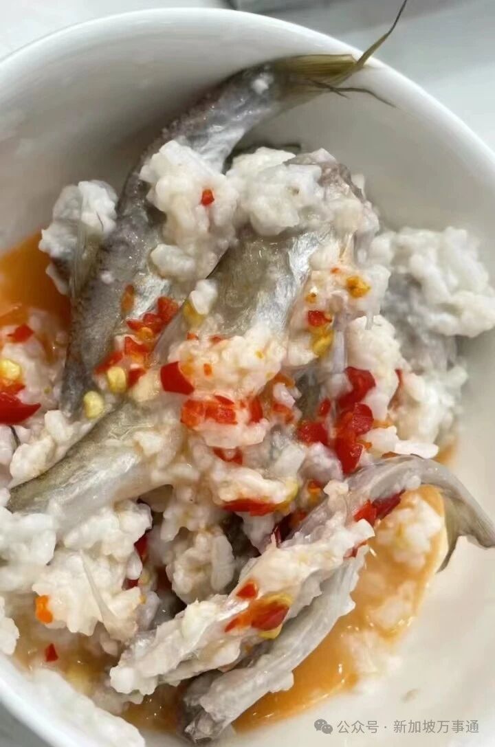 新加坡，東南亞人自己的佛羅里達州！地鐵晾衣服、內褲佔座、大街上裸奔... - 