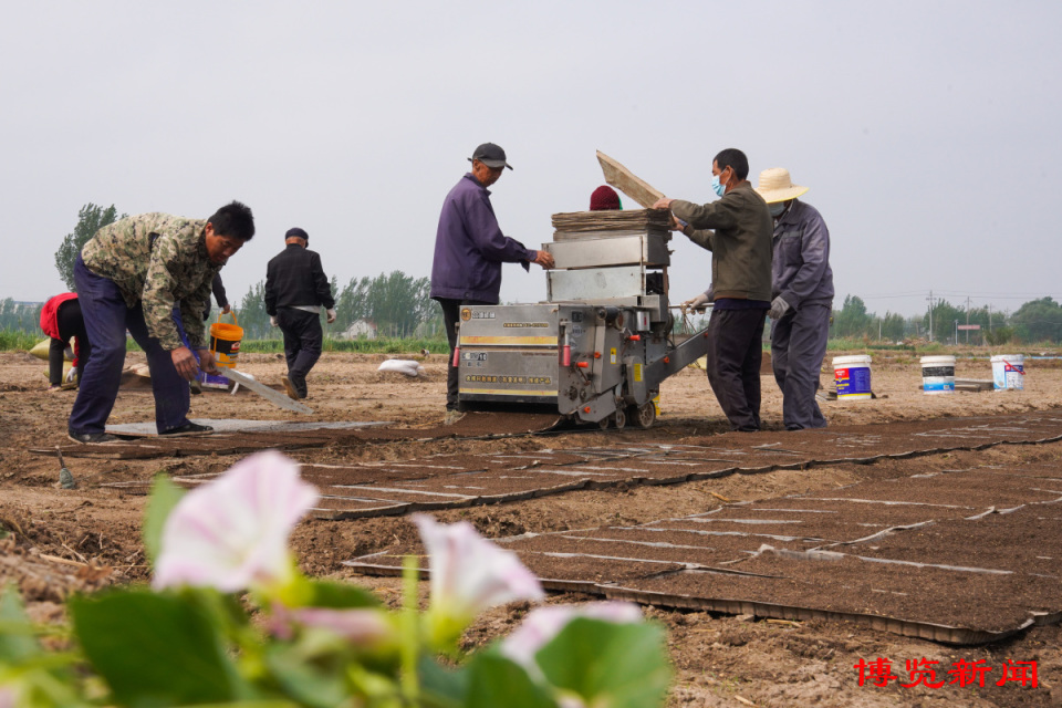 博览组图丨稻乡育秧忙