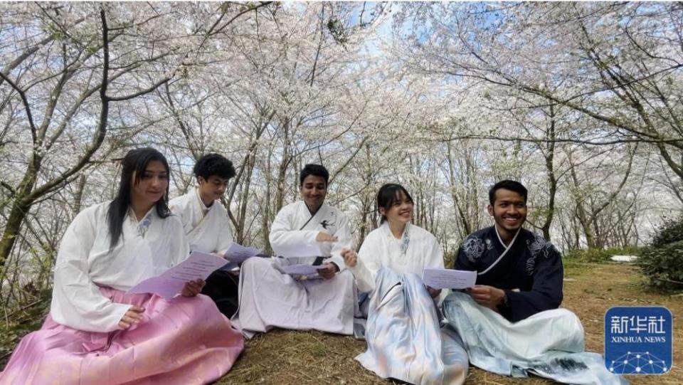在华留学生领略樱花海里的诗画中国