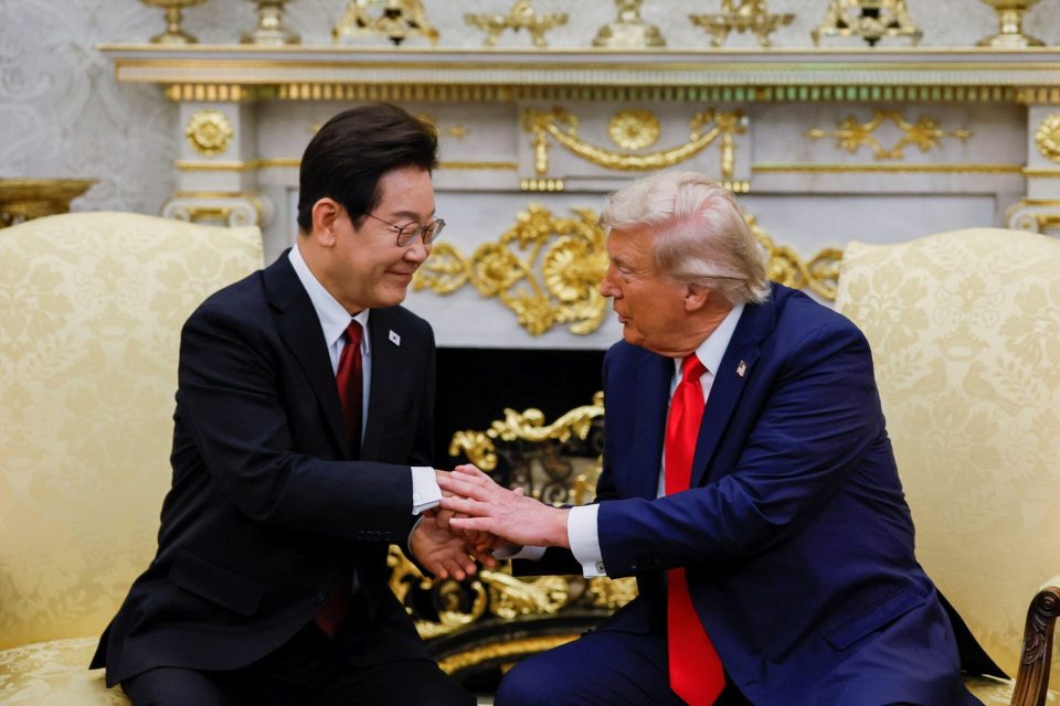 ʮ�Ҿ������뵺���� ����������֮��