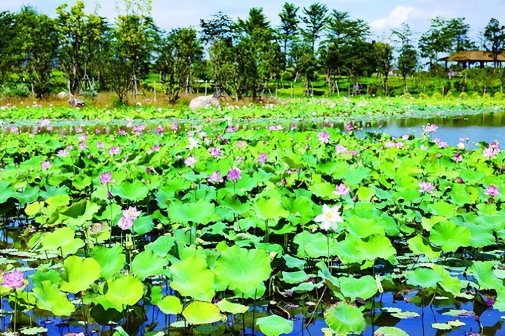 馬鑾灣雙溪溼地公園即將開放