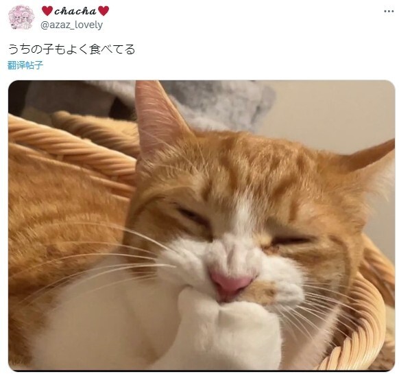641