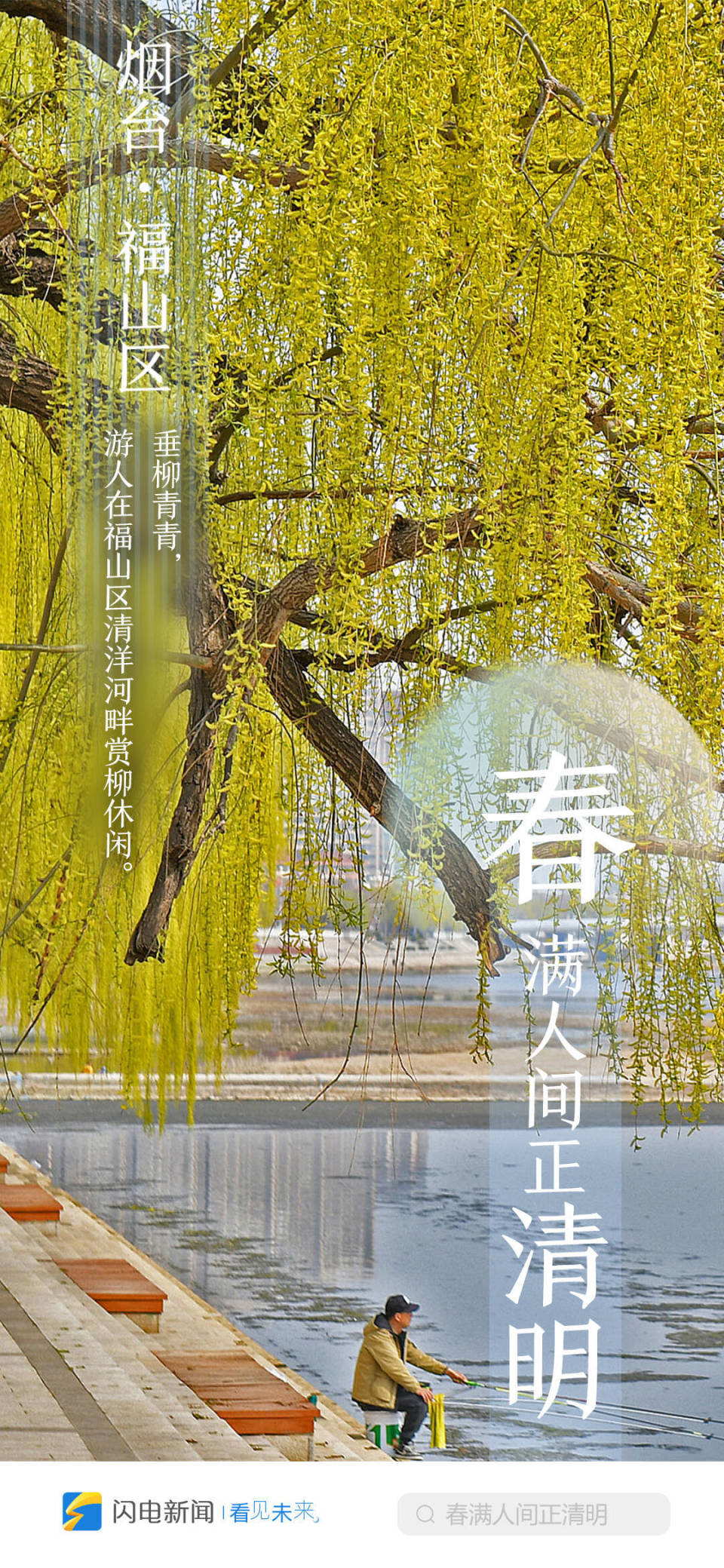 闪电海报|春满人间正清明 云游齐鲁打卡赏花