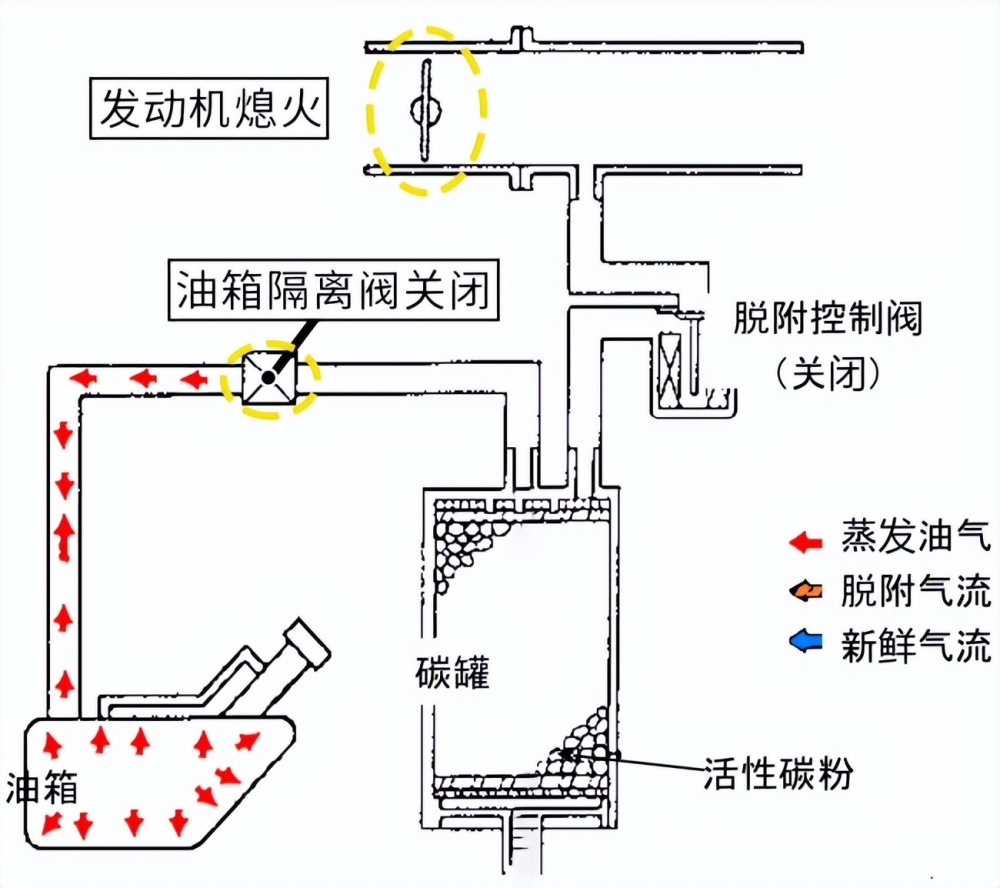 马自达6碳罐管路图图片