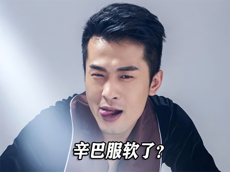 辛选向快手致歉,辛巴再牛也硬不起来了,平台才是"大王"
