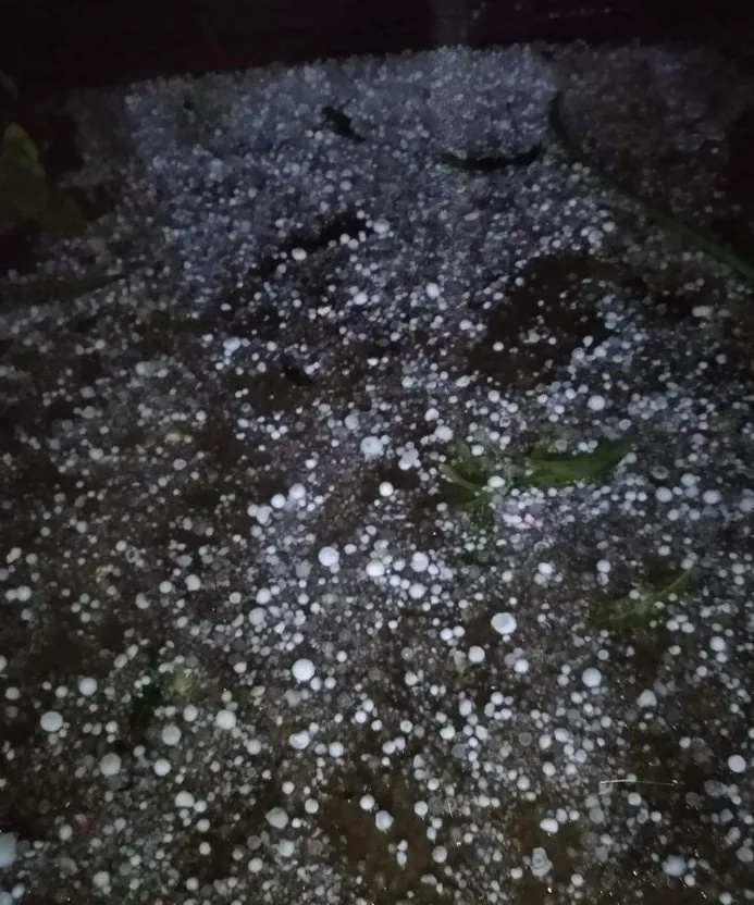 缅北帕敢下"鸡蛋大"的冰雹,屋顶被砸烂,有人被砸伤