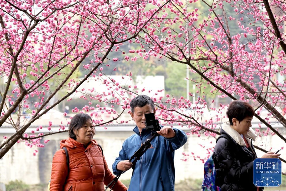 关于礼物的文艺句子法律不实单位赵伟国赵伟国信息散布亲女友一直用手推开