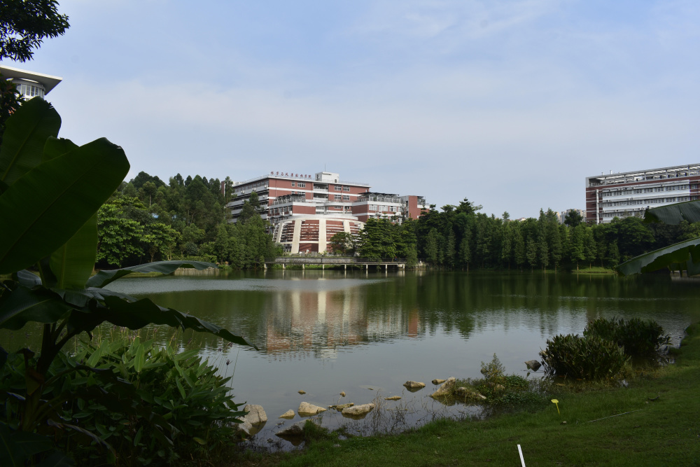 2024双非大学排名出炉！浙江两校进前十，南科大表现抢眼_腾讯新闻