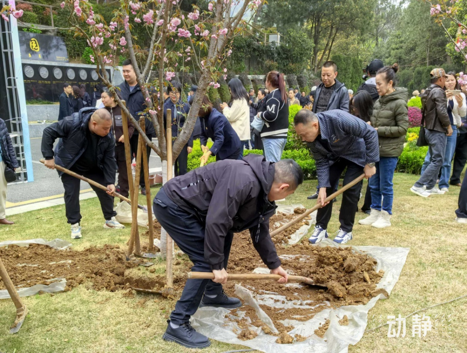 花溪区委宣传部,花溪区民政局,花溪区公安分局,贵阳市殡葬管理所等