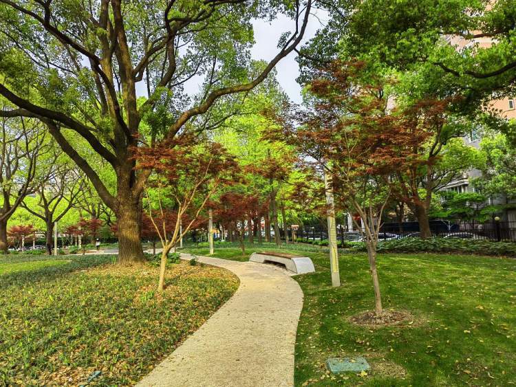 李江涛口袋公园遍布筹,林中步道曲通幽.晨跑鹂雀几声脆,晚走霞云