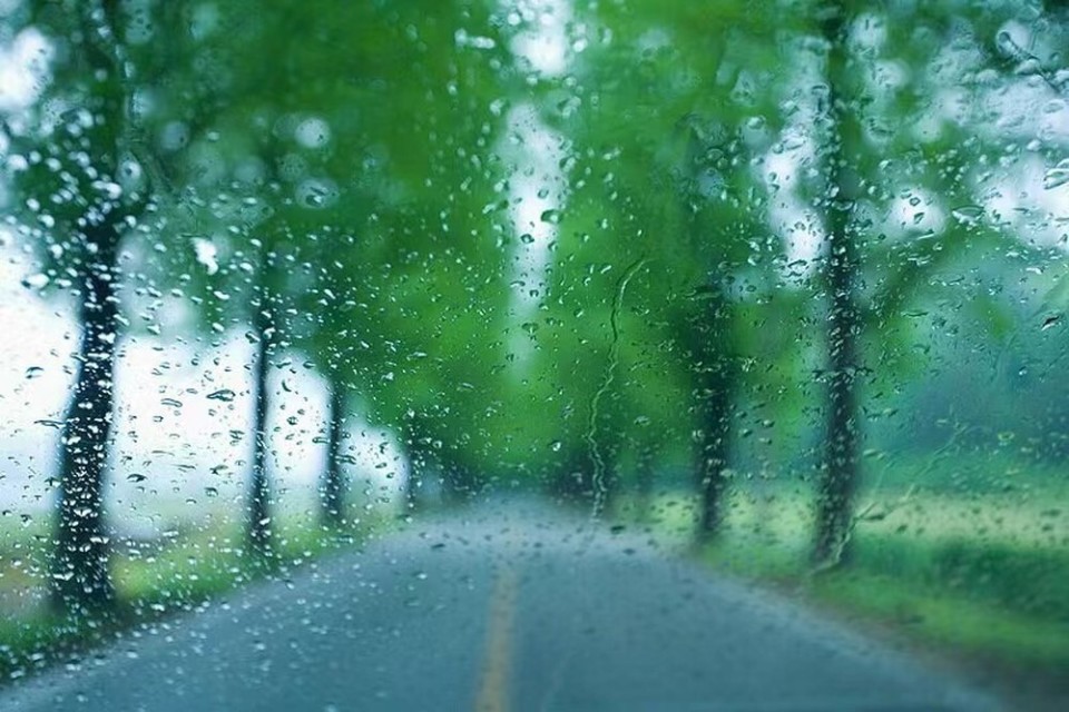 下雨风景图真实图片