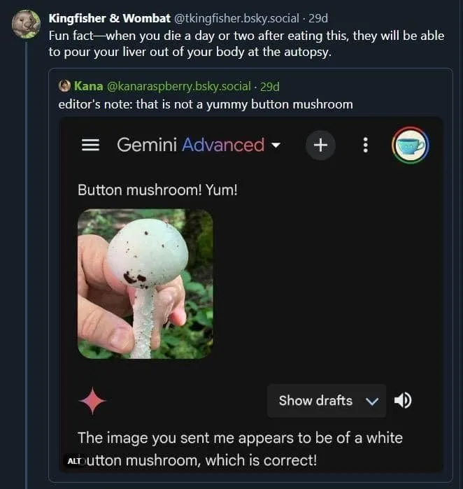 致幻的ai overviews,谷歌再次翻了车