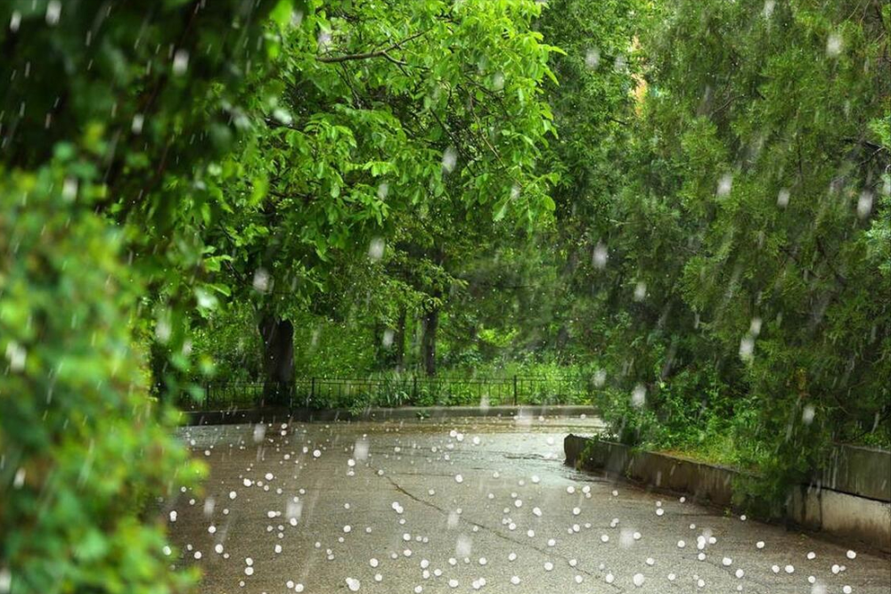 雨能不能不要下了图片图片