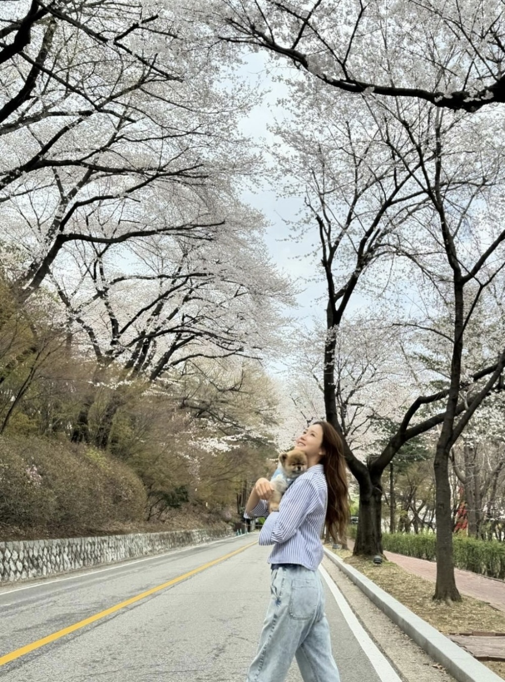 在这个樱花盛开的季节里,李多海的这组照片也引发了广大网友的关注和