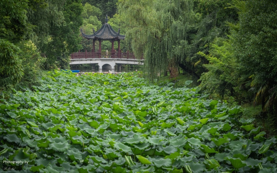 夏日游镇江金山寺