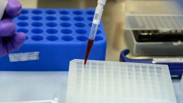 美情报部门文件披露：五角大楼资助乌克兰生物实验室研究高危病原体
