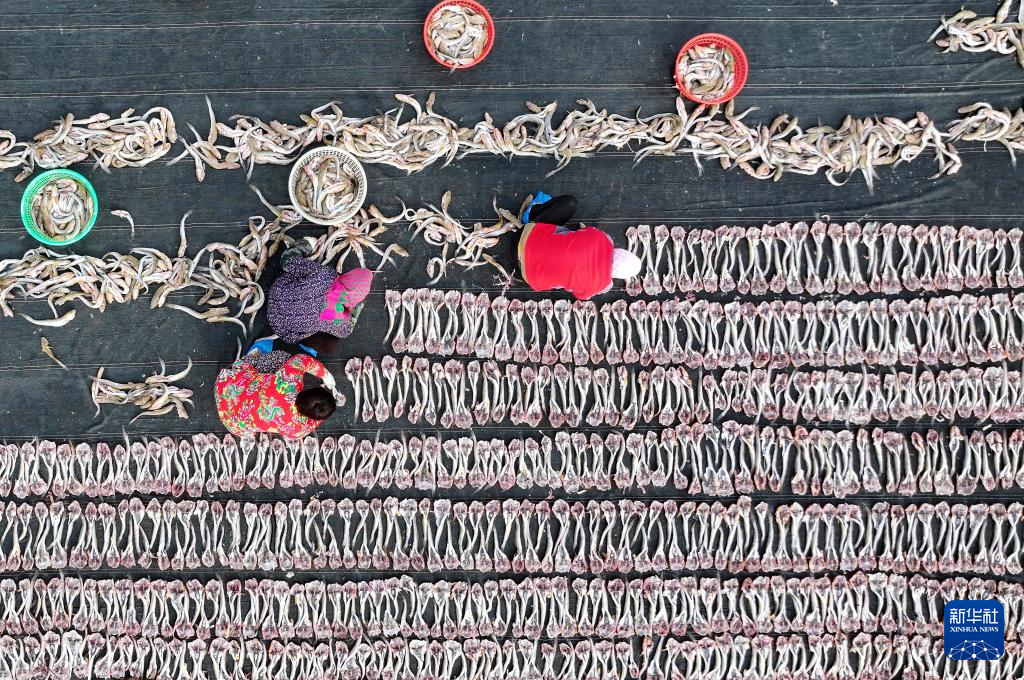 冬日海產品晾曬忙