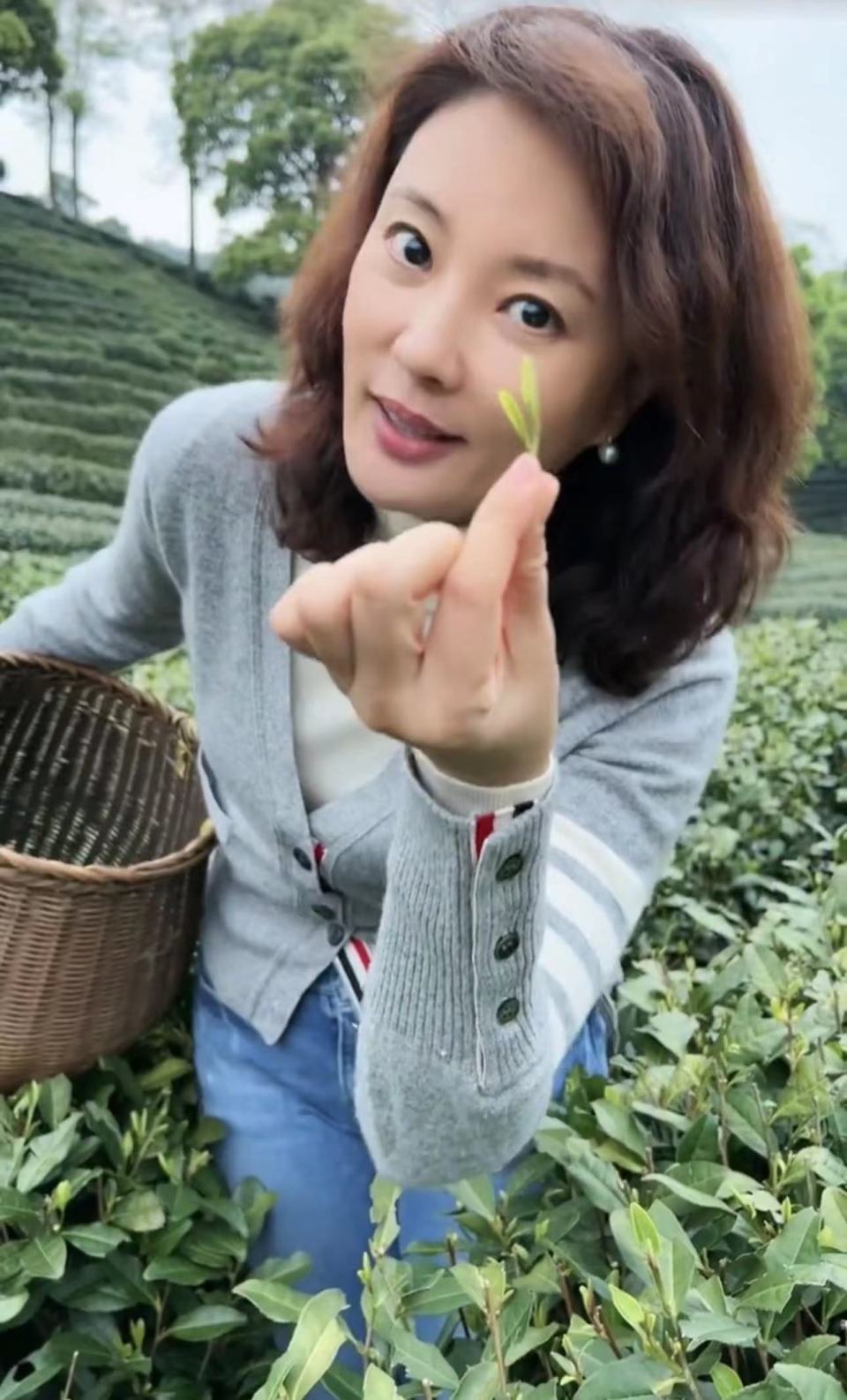 央视主持刘芳菲穿万元衣干农活素颜吸睛长白发隐退3年45岁仍未婚