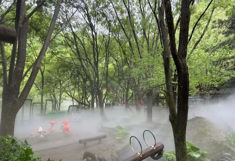 优惠继续,栾川天河大峡谷现金补贴油费,延长20天持续进行至6月10日!